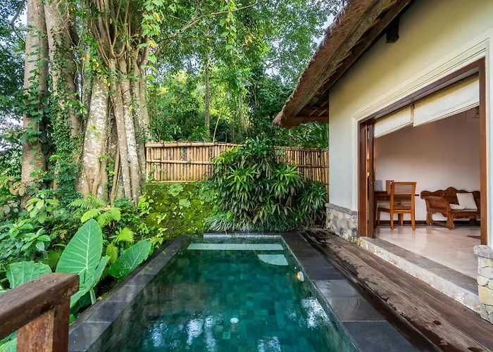 Natura And Ubud (Bali)