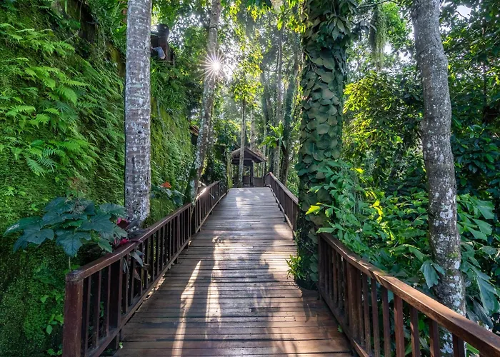 Natura And Ubud (Bali)